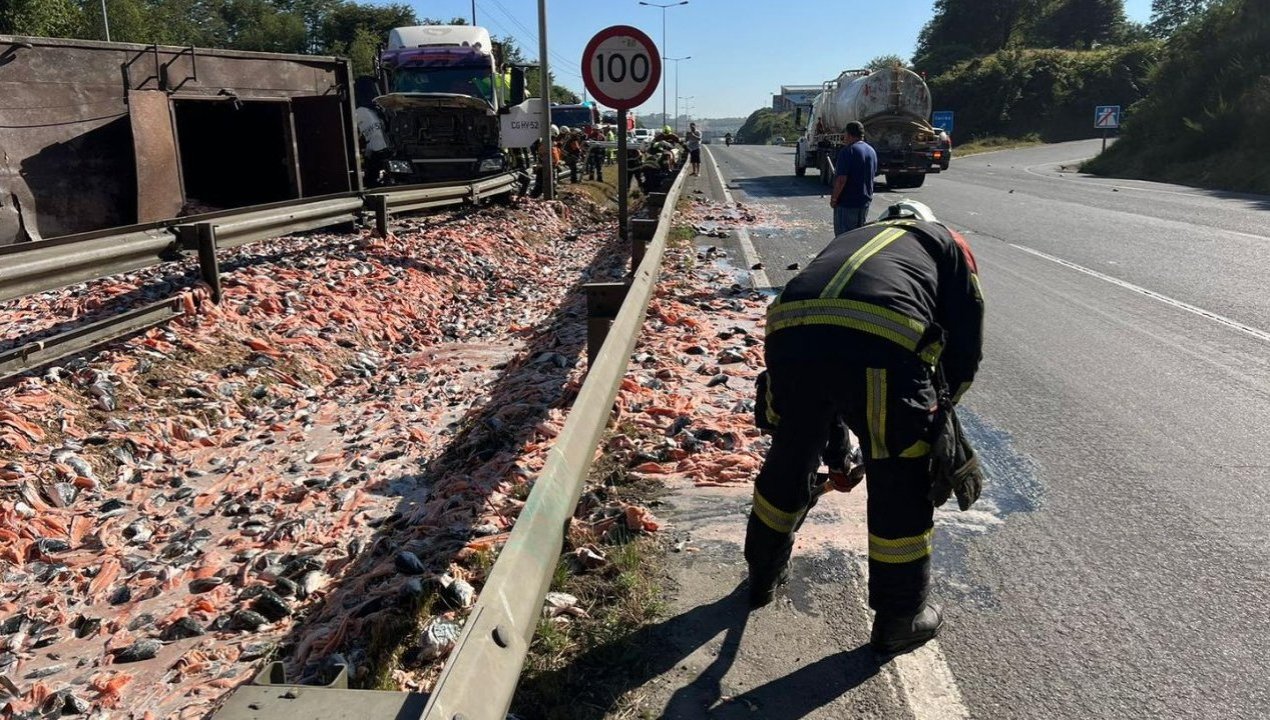 /grave-accidente-en-la-ruta-5-colision-entre-camiones-genera-gran
