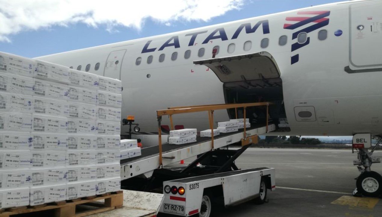 /local/salmon-chileno-en-alerta-demanda-cae-un-20-por-efecto-arancel