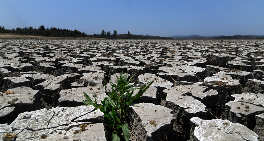 /agricultura-sustentable-es-uno-de-los-principales-desafios-del-ministerio-para-2021