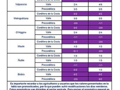 Meteorología pronostica temperaturas bajo cero en zona centro sur del país