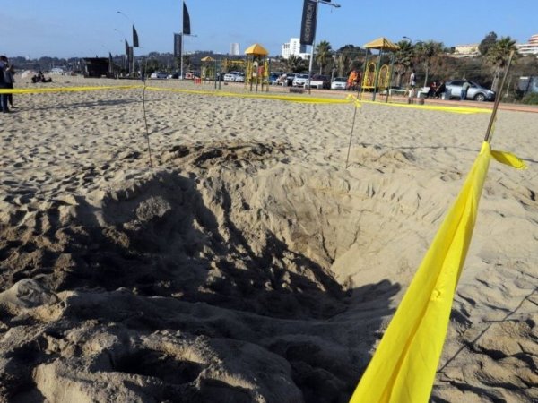 Niña de 5 años muere al quedar enterrada en la arena en una playa en Estados Unidos