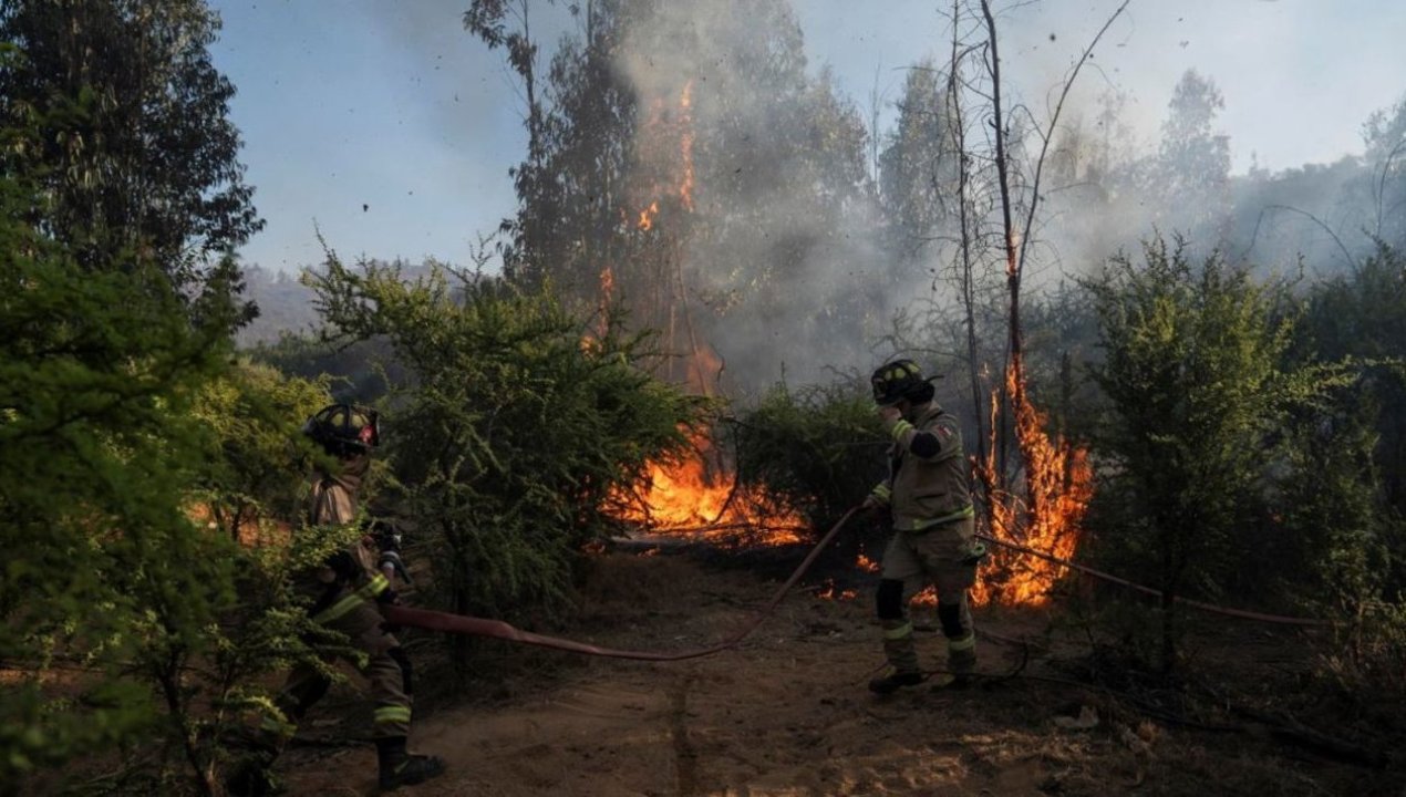 /actualidad/autoridades-alertan-record-de-detenidos-por-incendios-forestales-en-chile
