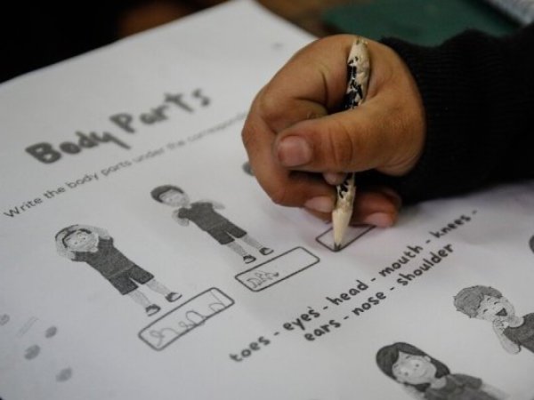 Comienza debate parlamentario por polémica reforma al SAE: Gobierno busca reintroducir el mérito académico