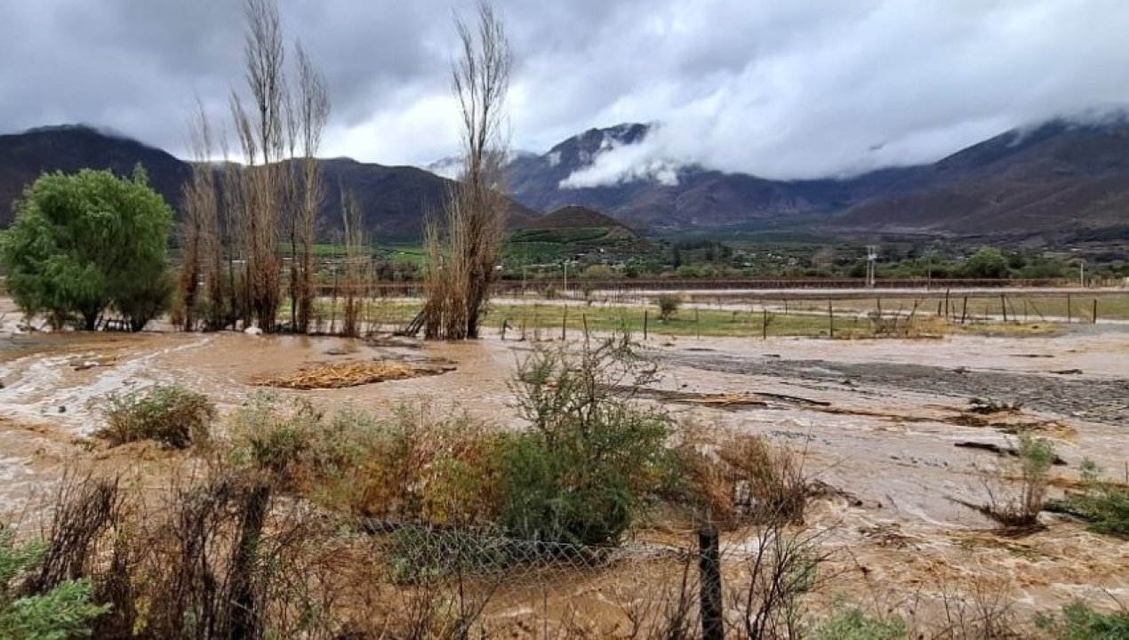 /actualidad/desastres-naturales/lluvias/lo-humano-esta-primero-cooperativa-control-pisquero-busca-a-agricultores